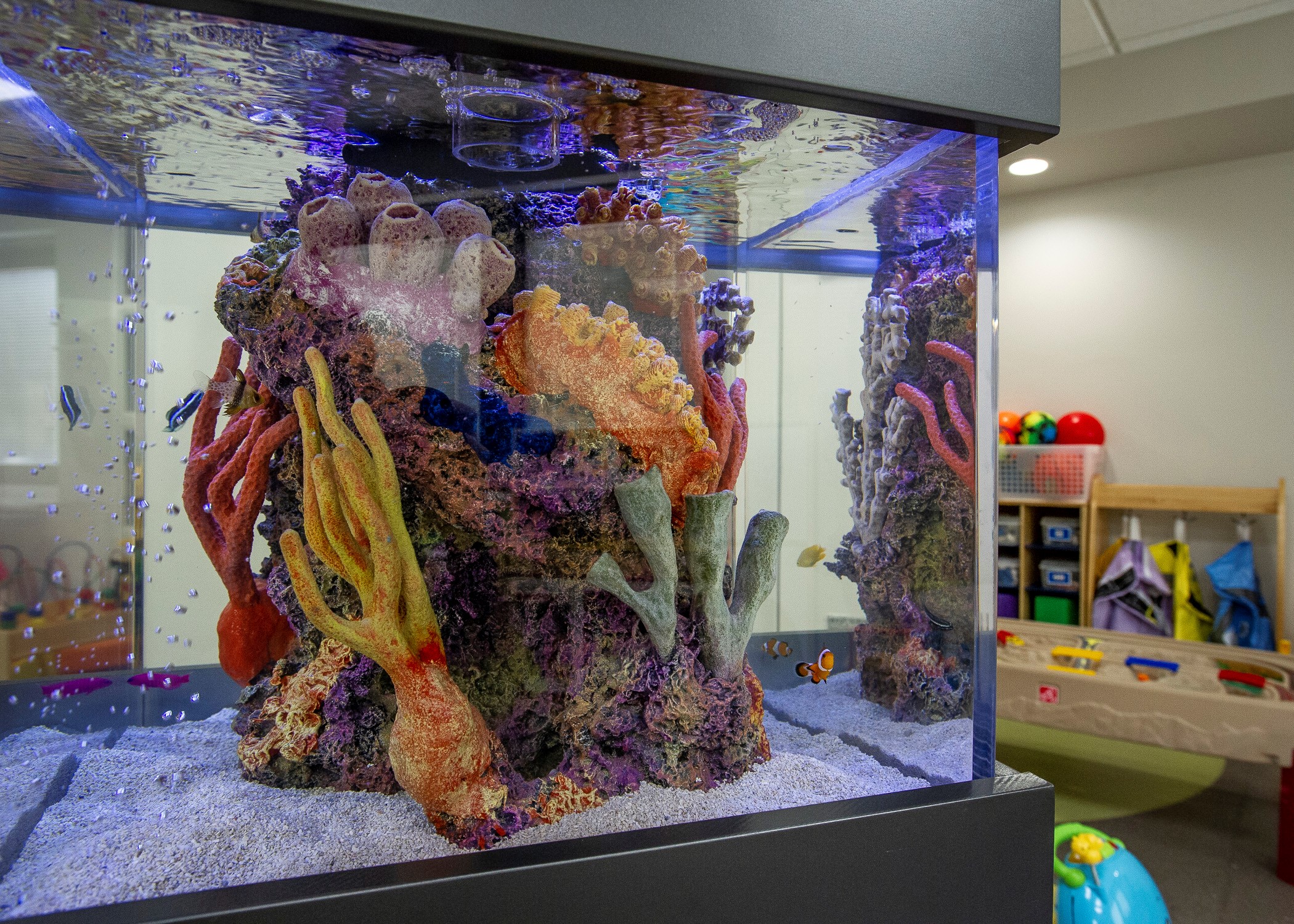 Metal Supermarkets Customer Story - Therapy Aquarium